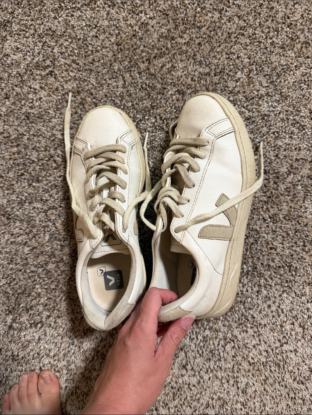 Veja White Cream Low-Top Leather Sneakers